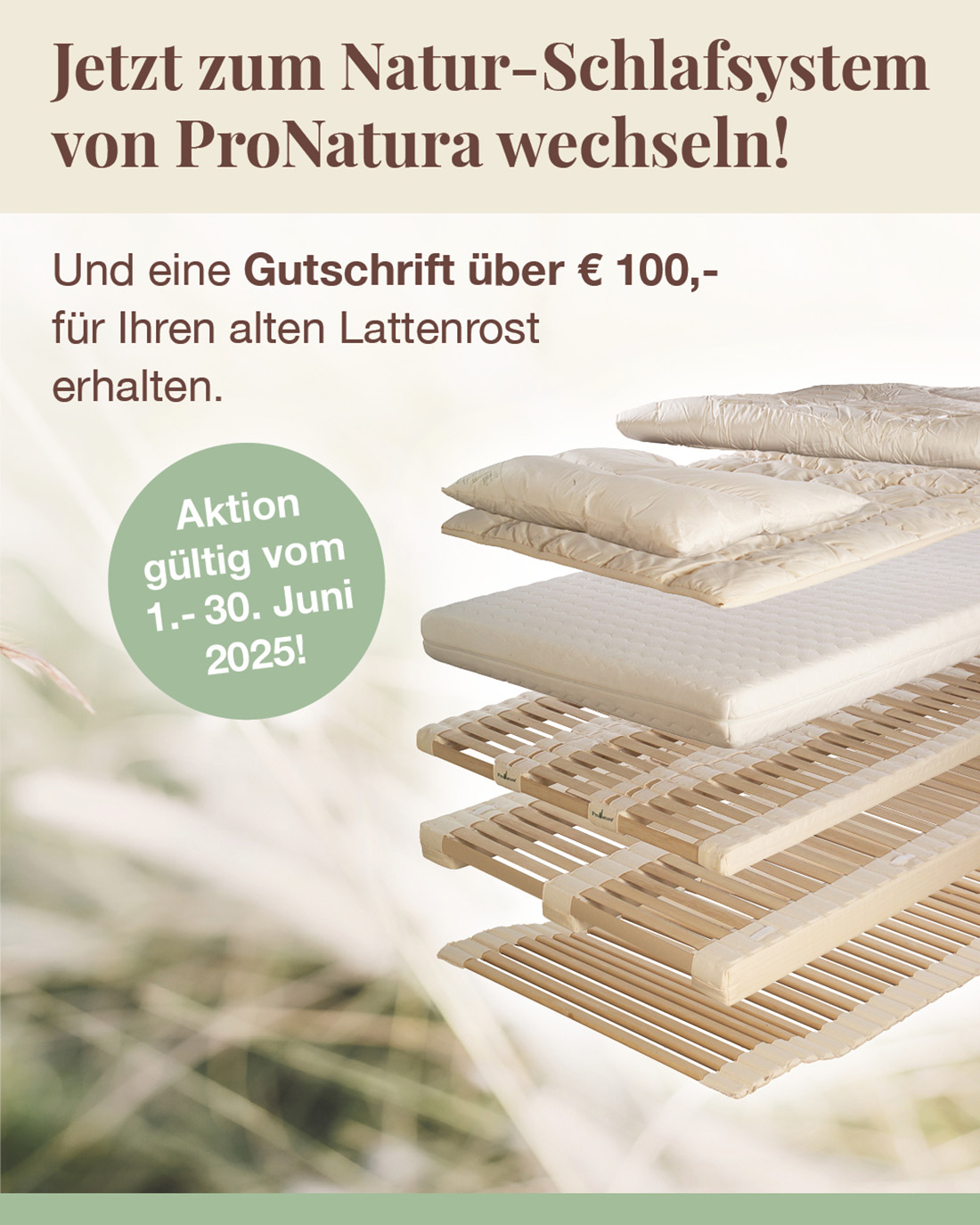 Sie erhalten einen Gutschein für ihren alten Lattenrost über 100€