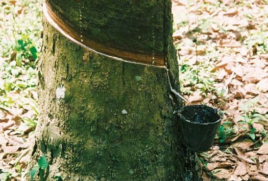 Natur Materialien